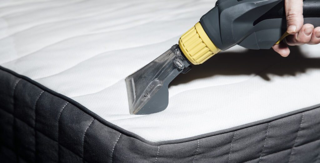 Professional cleaning services in JB for homes and offices