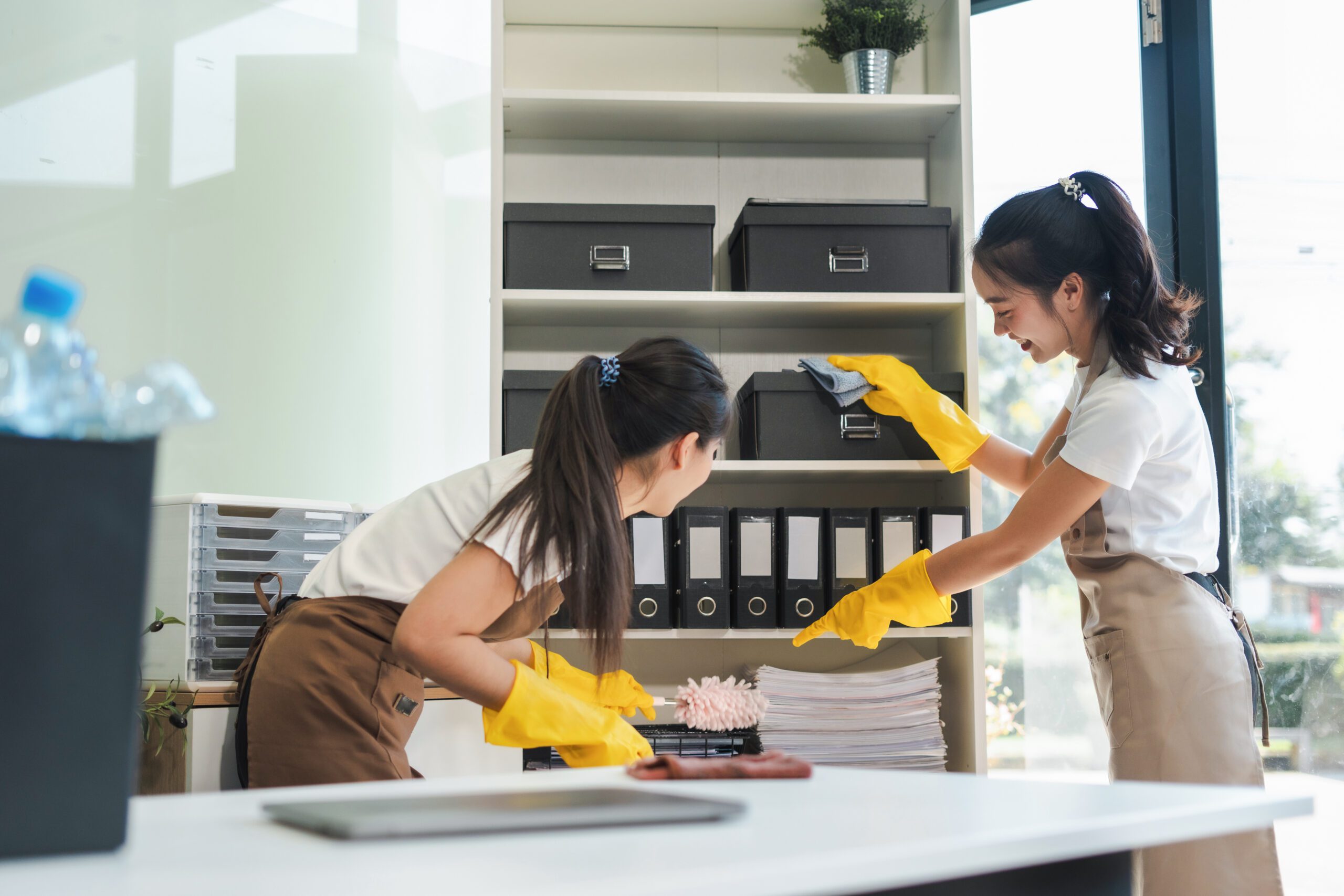 Professional cleaning services in JB for homes and offices