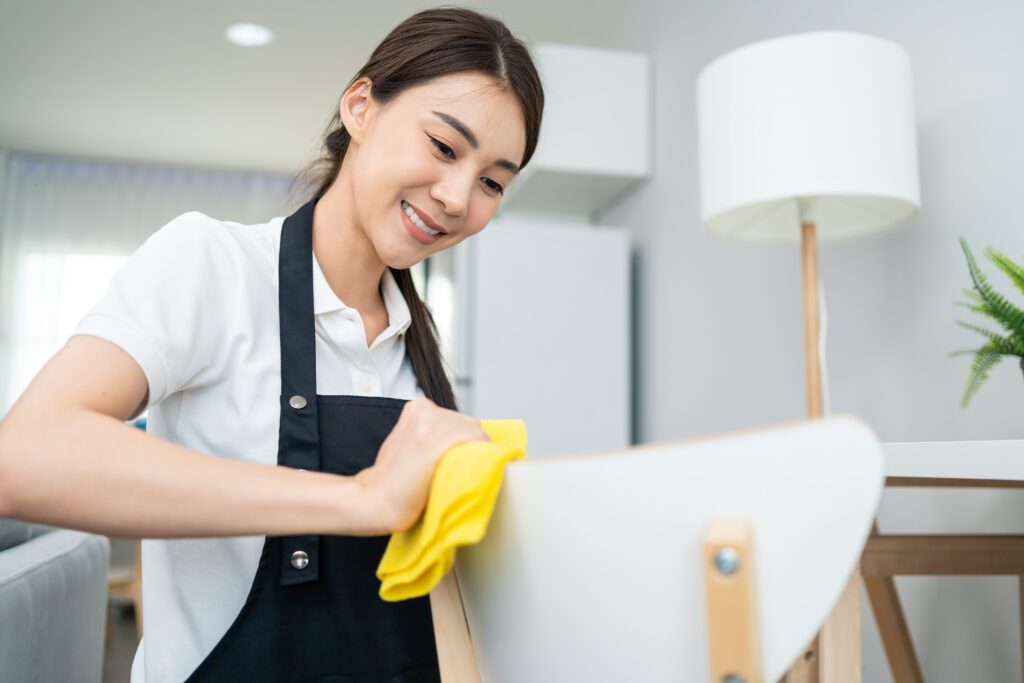 Professional cleaning services in JB for homes and offices