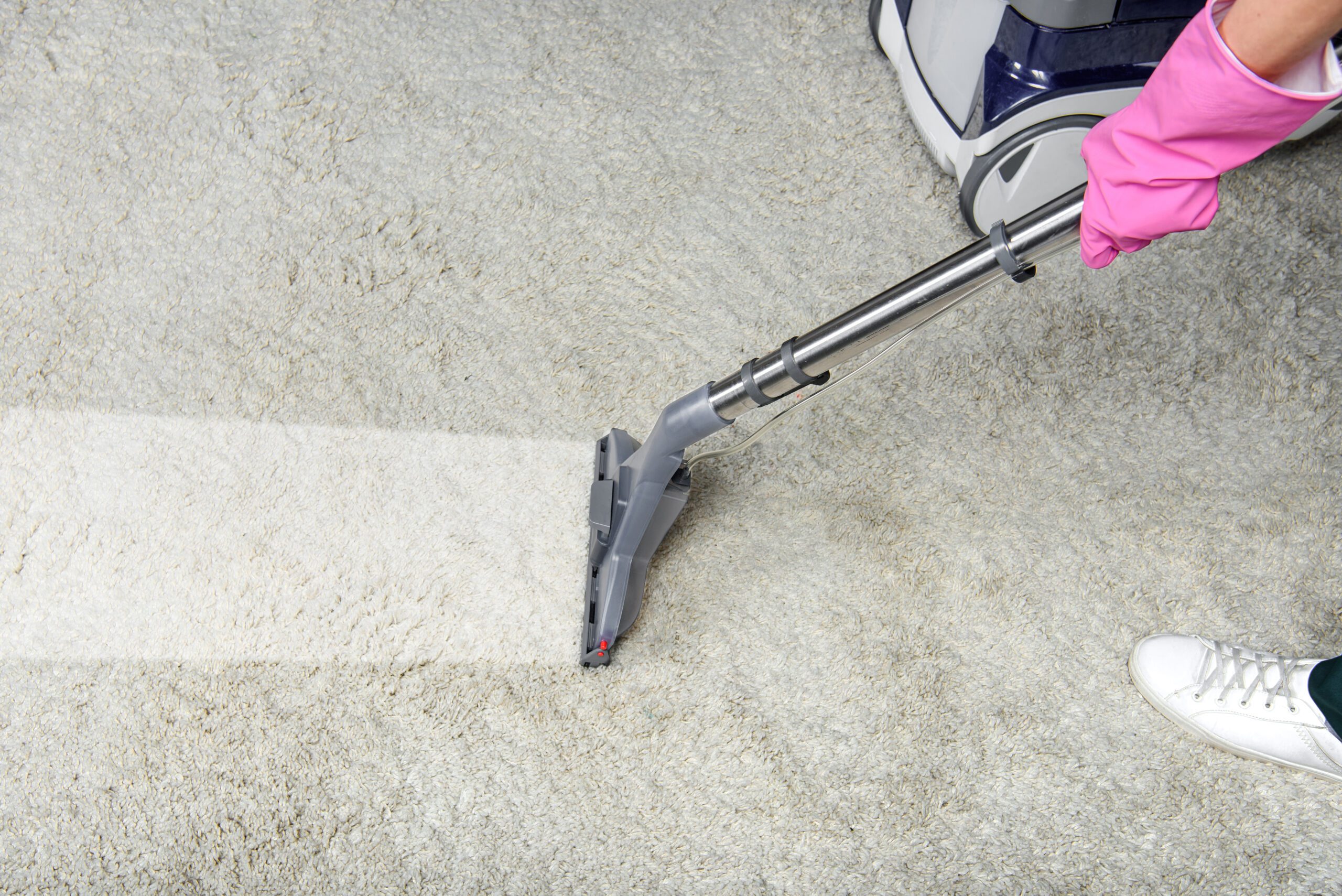 Professional cleaning services in JB for homes and offices